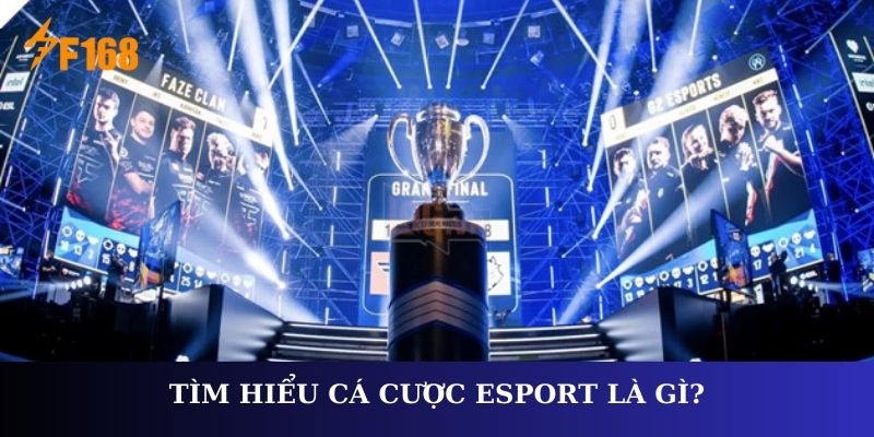 Thế Giới Cá Cược Esport - Top Nhà Cái Được Yêu Thích Nhất 2025 5 Tìm hiểu cá cược Esport là gì?