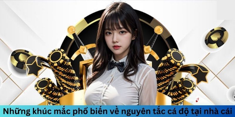 Những Câu Hỏi Thường Gặp Khi Chơi Tại F168 7 Những khúc mắc phổ biến về nguyên tắc cá độ tại nhà cái